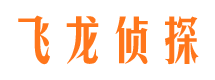 托里调查事务所